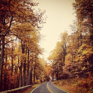 What my Virginia commute looks like in the Fall.
